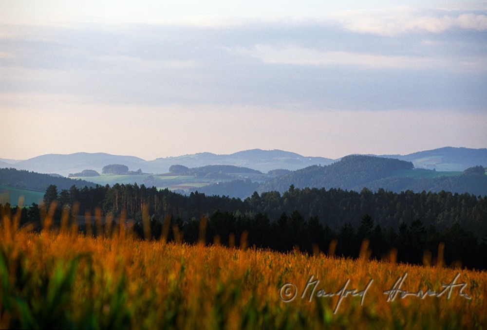 wavy landscape near Lichtenegg
