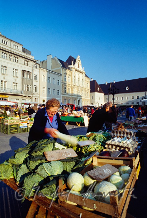 weekly market on Dome Square