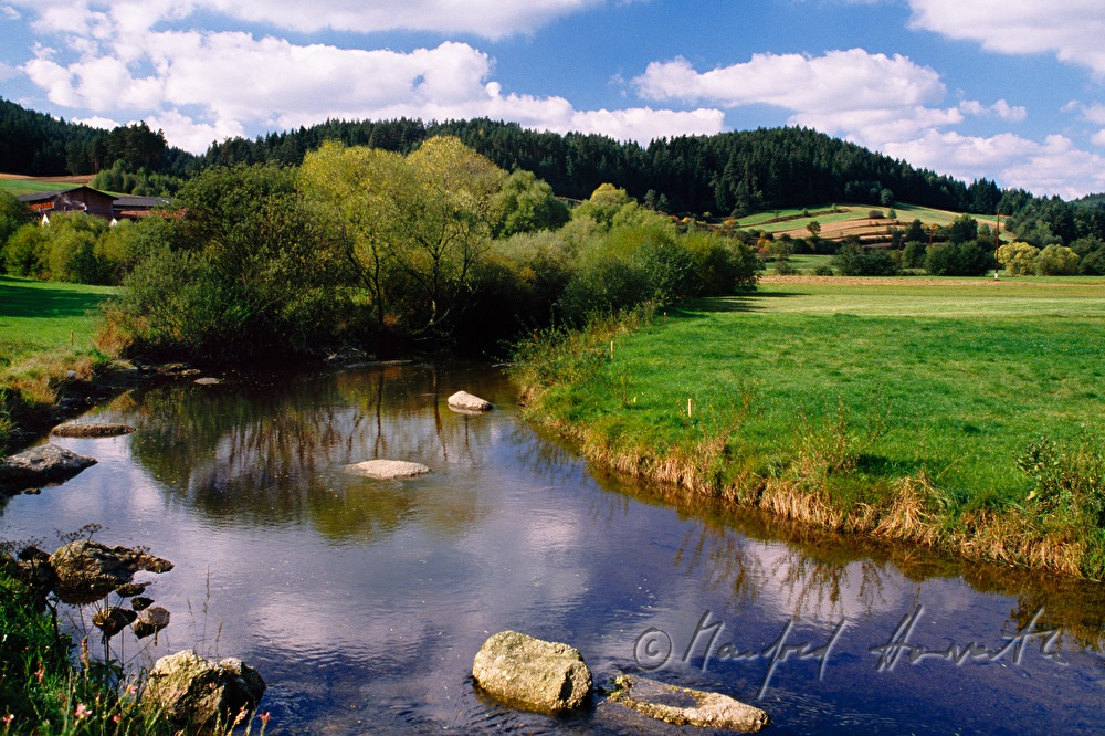 River Kamp near Roiten
