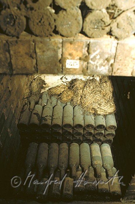 cellar of wine producer Lenz Moser