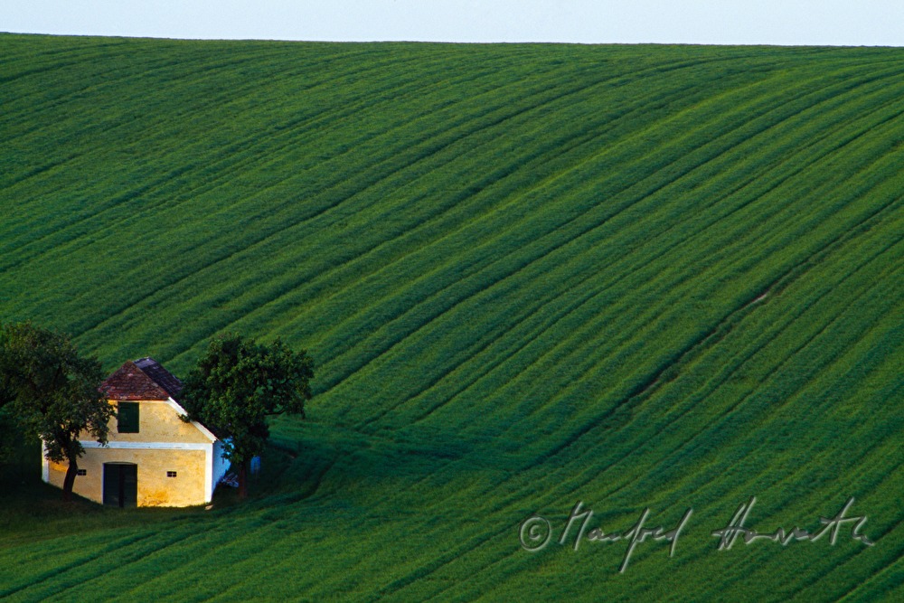 solitary wine cellar in a field