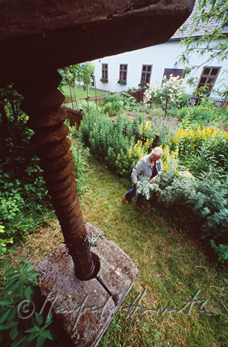 herb garden in the Museum of Popular Art