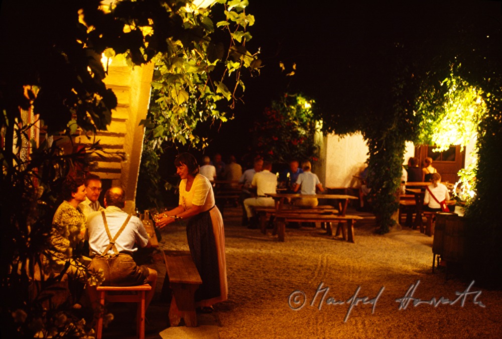arbour of wine tavern Gruber
