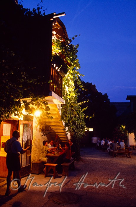 arbour of wine tavern Gruber