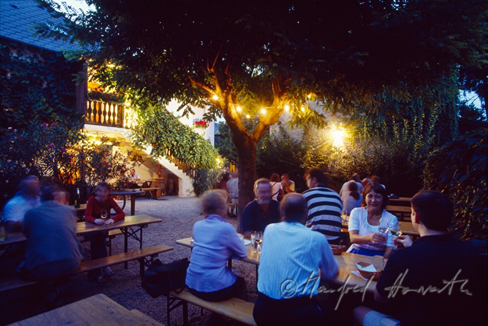 arbour of wine tavern Gruber