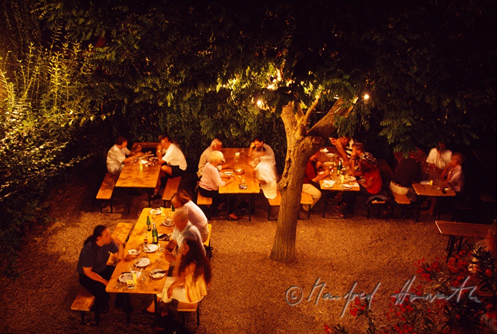 arbour of wine tavern Gruber