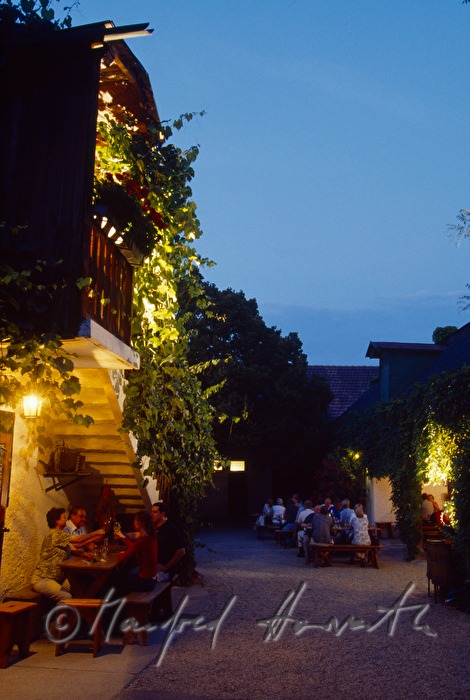 arbour of wine tavern Gruber