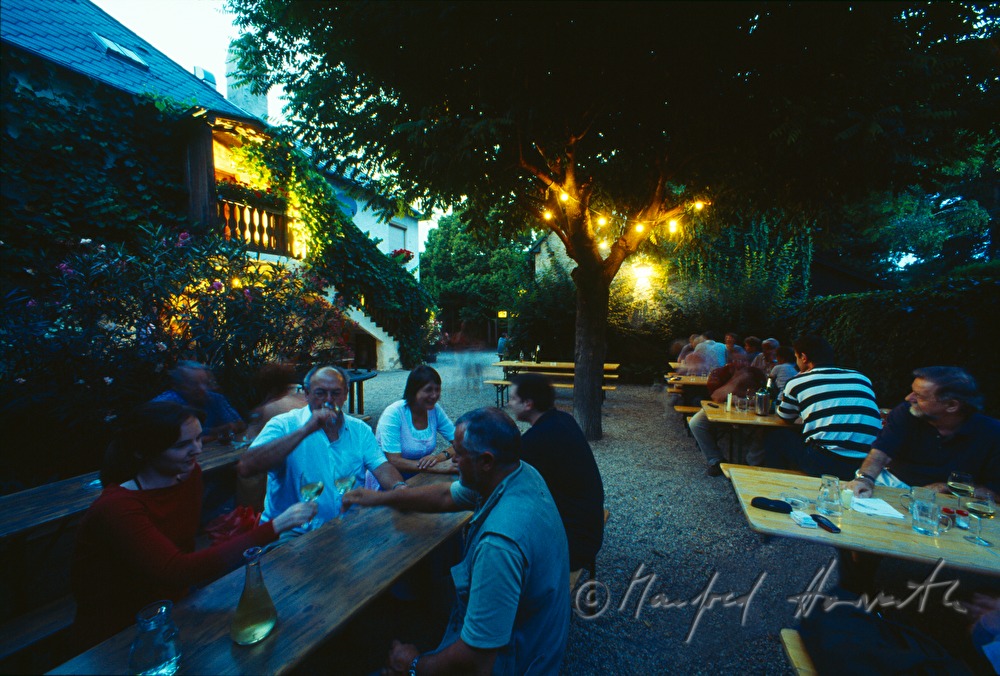 arbour of wine tavern Gruber