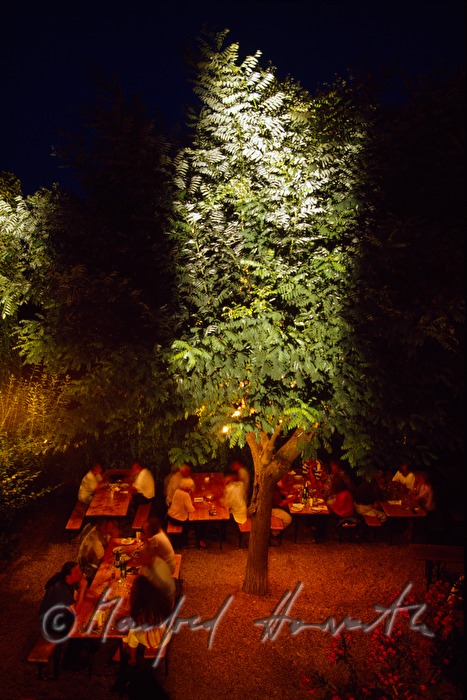 arbour of wine tavern Gruber