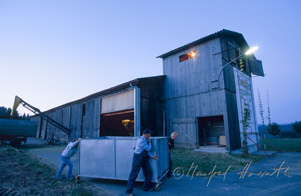 farmer iwith a trailer of hops