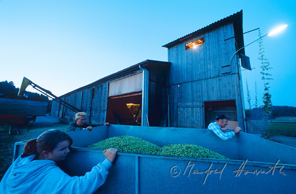 farmer iwith a trailer of hops