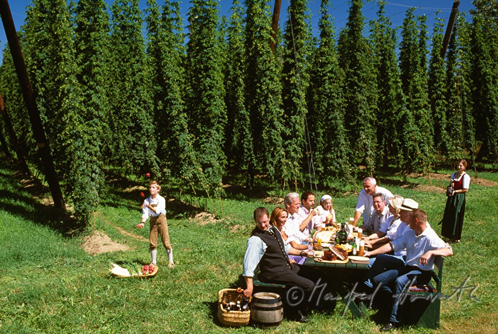 farmers having lunch in the hop plantage