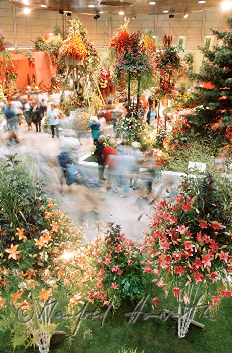 fairground, flower trade show