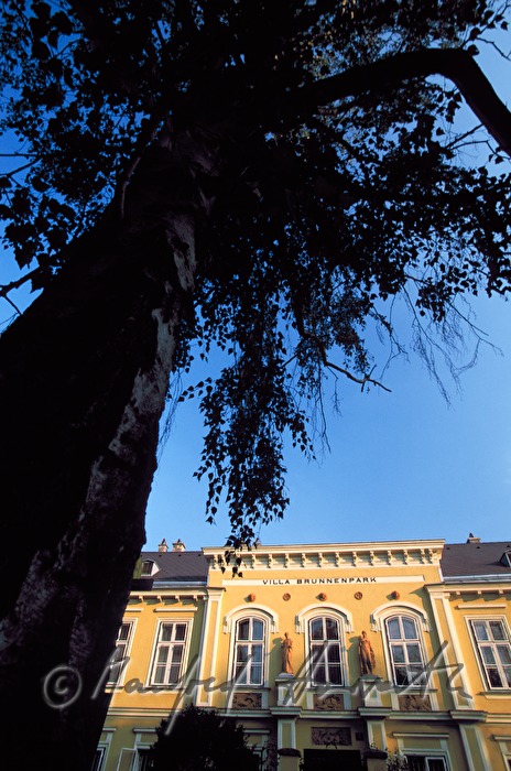 Villa Brunnenpark in art nouveau style