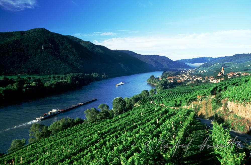 view from vineyard 