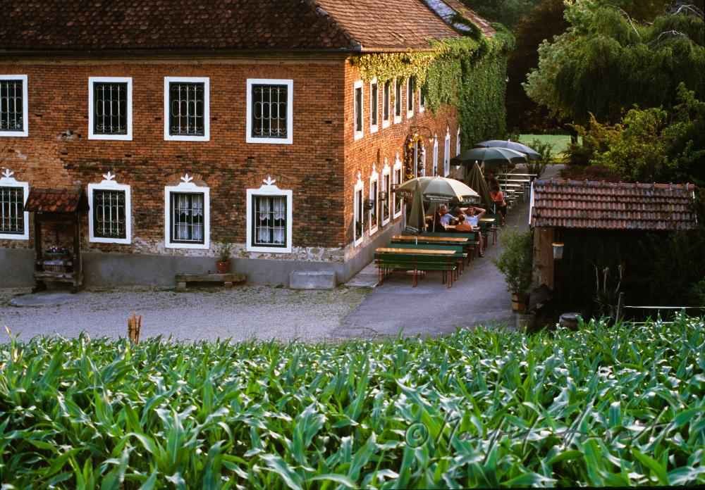 garden restaurant Wimmer´s Farm (cider tavern)