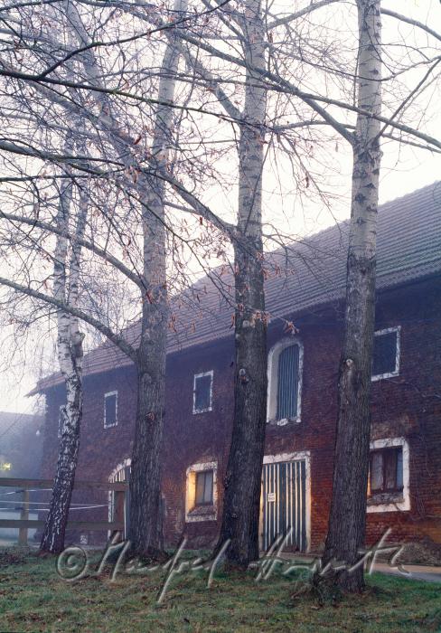 Wimmer Farm in the morning mist