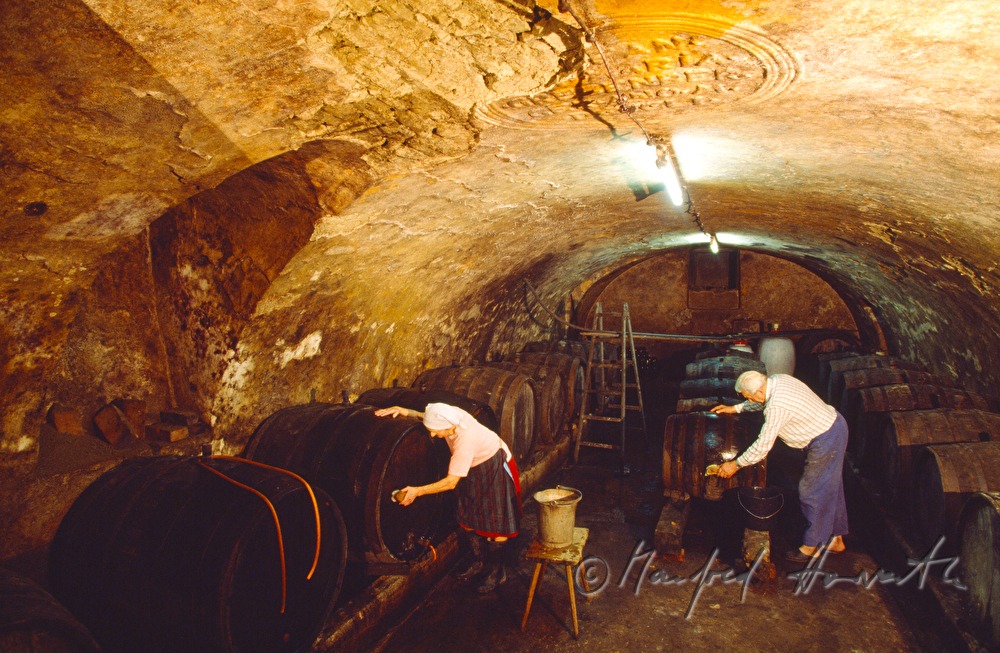 farmer-couple cleaning wooden cider barrels in the cellar