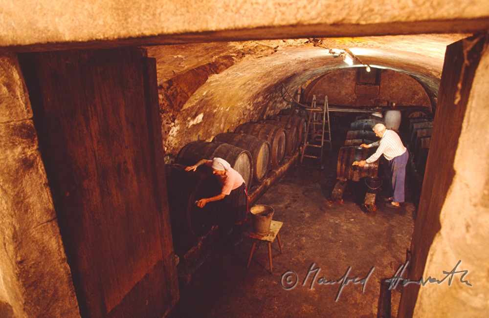 farmer-couple cleaning wooden cider barrels in the cellar