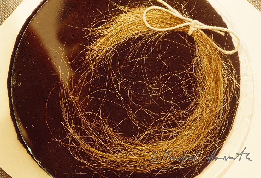curl of Beethovens Hair in the Beethoven museum