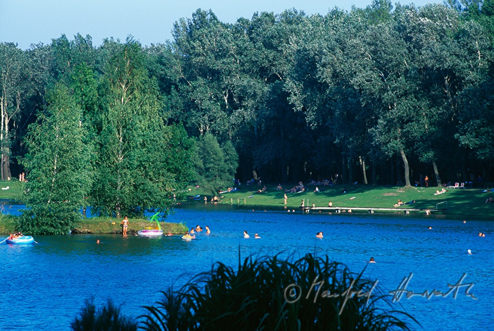 swimming lake of 