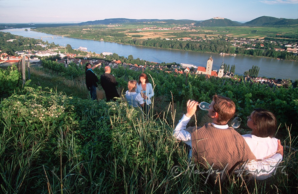 sightseers drink wine on the panoramic way