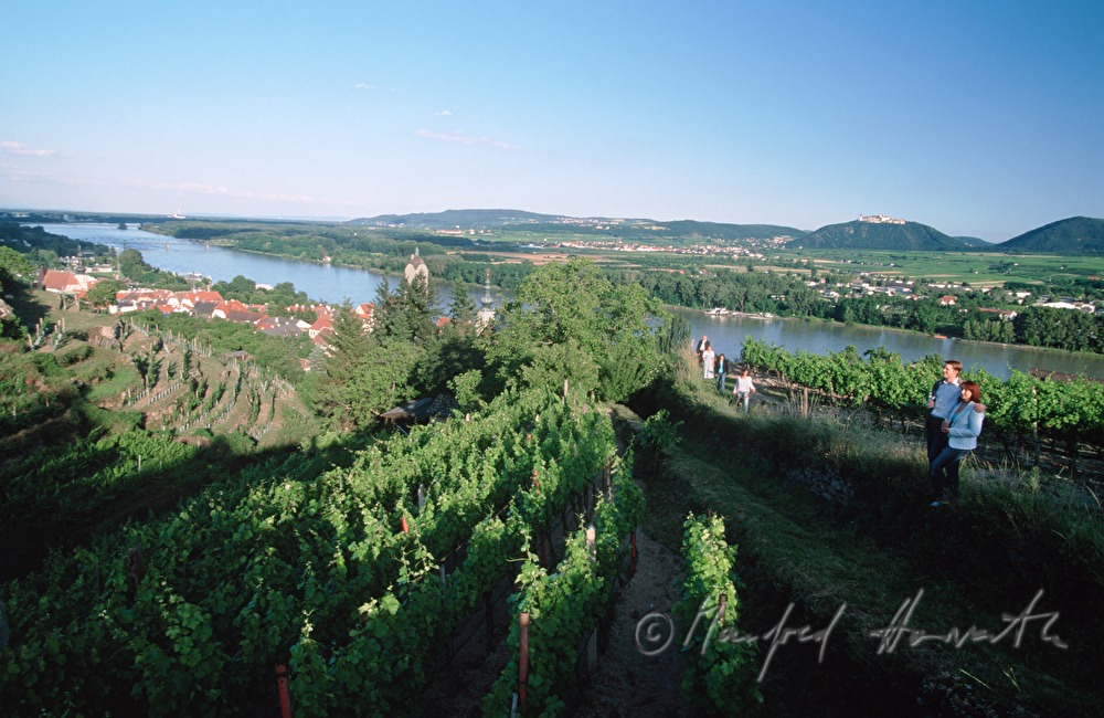 sightseers drink wine on the panoramic way
