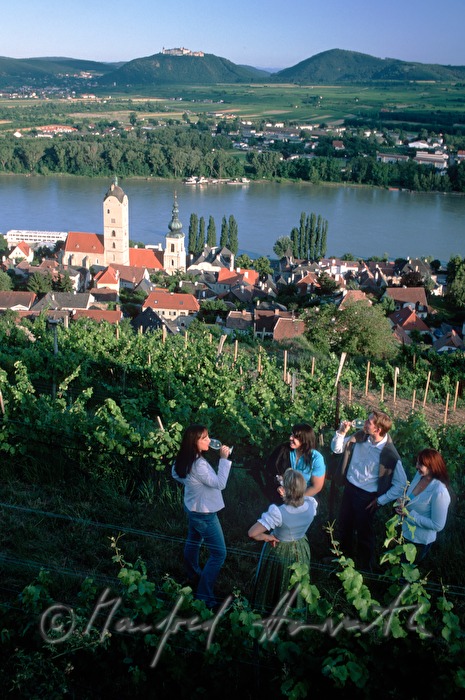 sightseers drink wine on the panoramic way