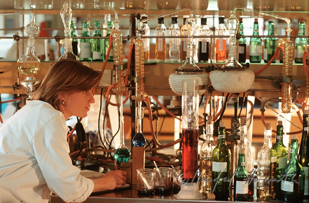 analysis of the ingrdients of wine