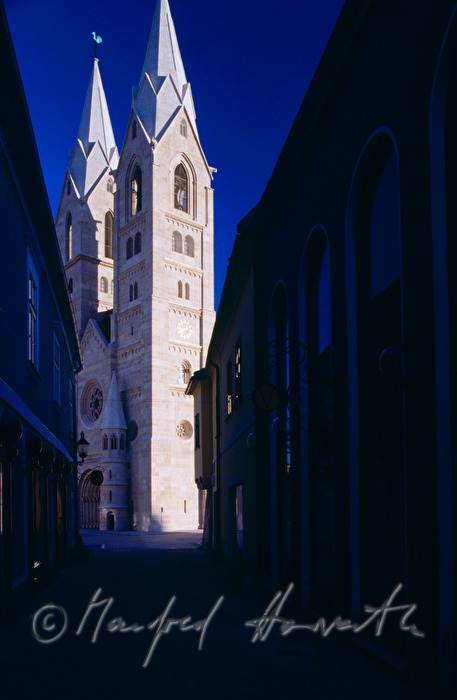 Dome of Wiener Neustadt (Liebfrauendom)