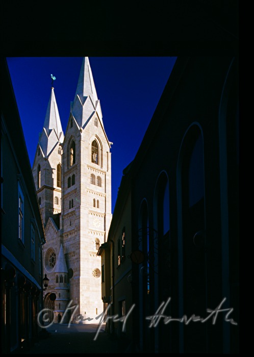Dome of Wiener Neustadt (Liebfrauendom)
