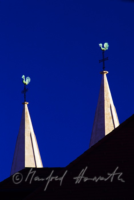 Dome of Wiener Neustadt (Liebfrauendom)