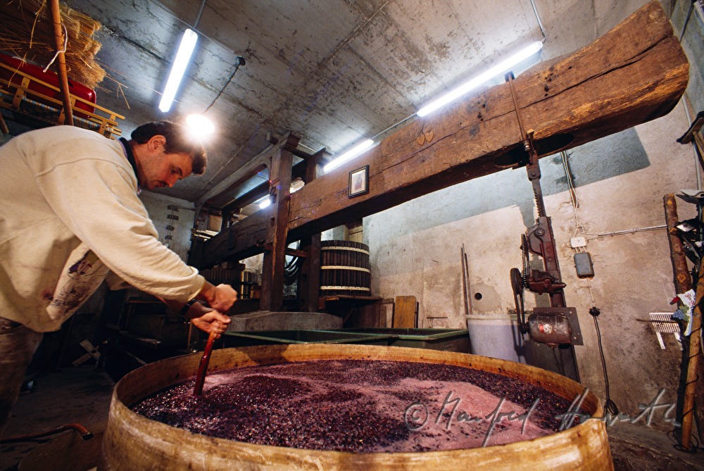 Weingut Breitenecker, making of red wine