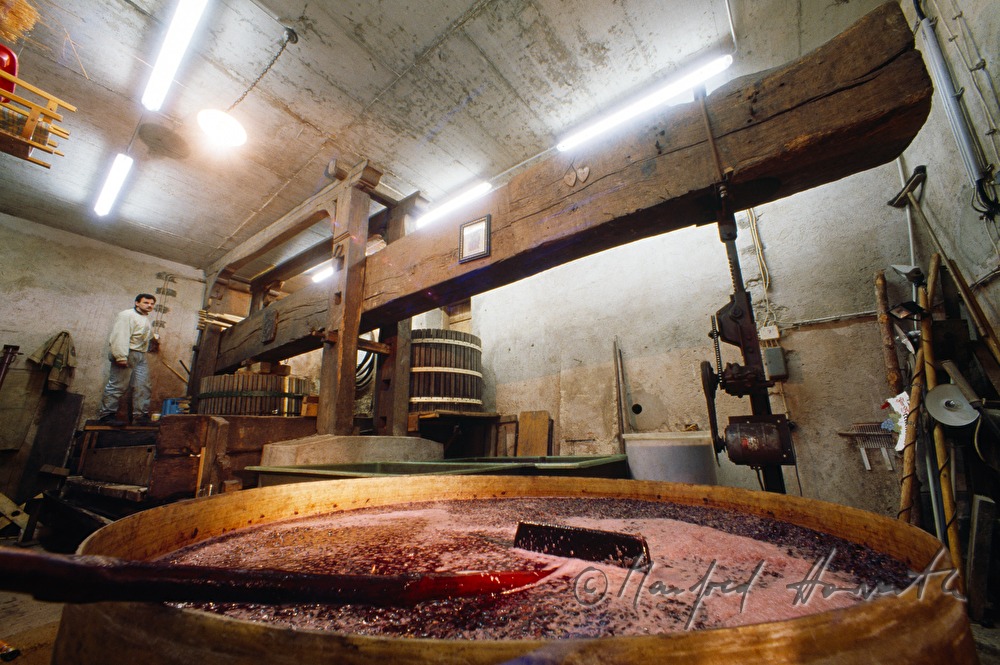 Weingut Breitenecker, making of red wine