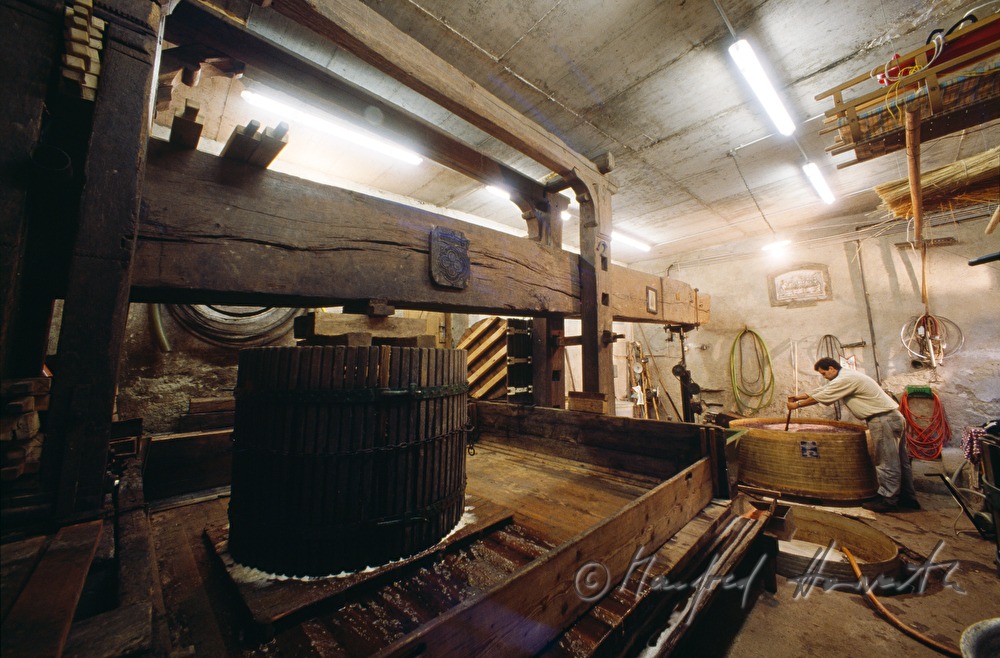 Weingut Breitenecker, making of red wine