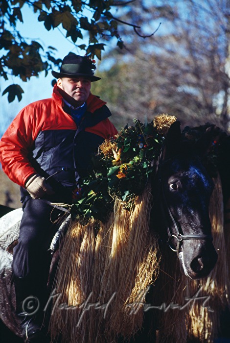 rider of the Hiata Einzug