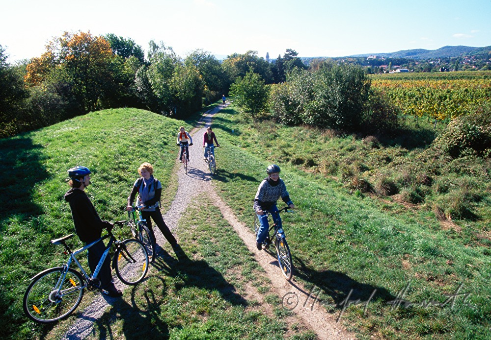 bicyclists on the cycle track