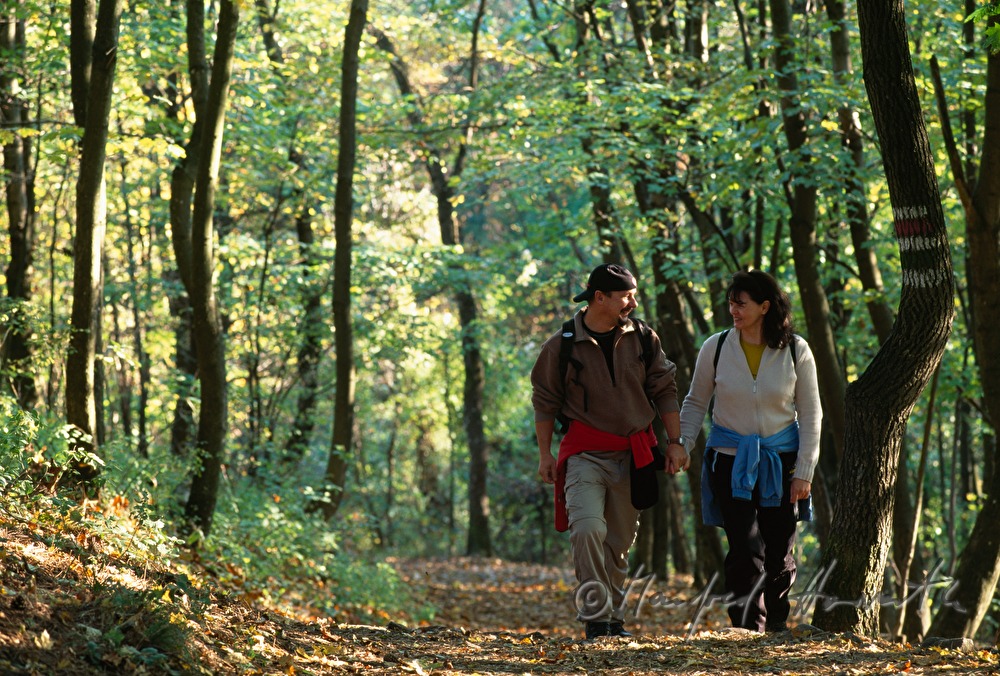 hikers in theFr