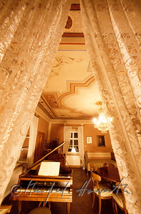 Hugo-Wolf-Museum, view into the work room