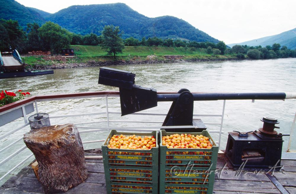 apricots in cases on a ferry boat