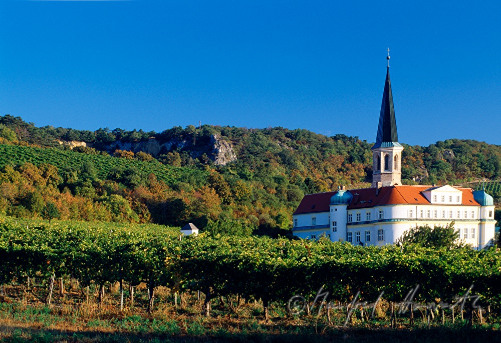 Castle Gumpoldskirchen and vineyards