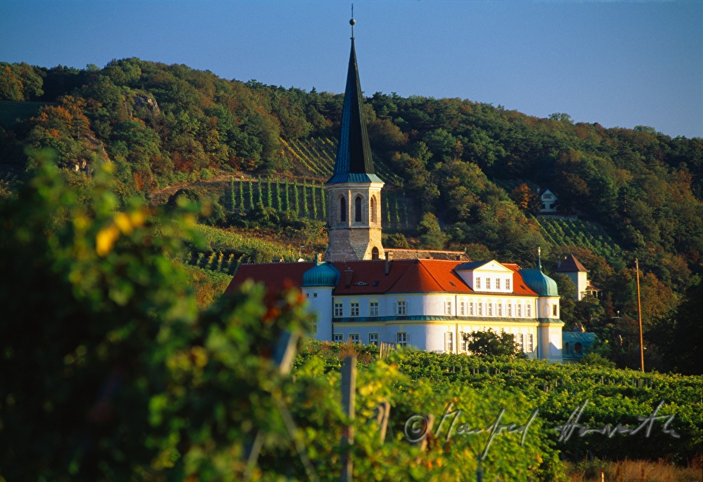 Castle Gumpoldskirchen and vineyards