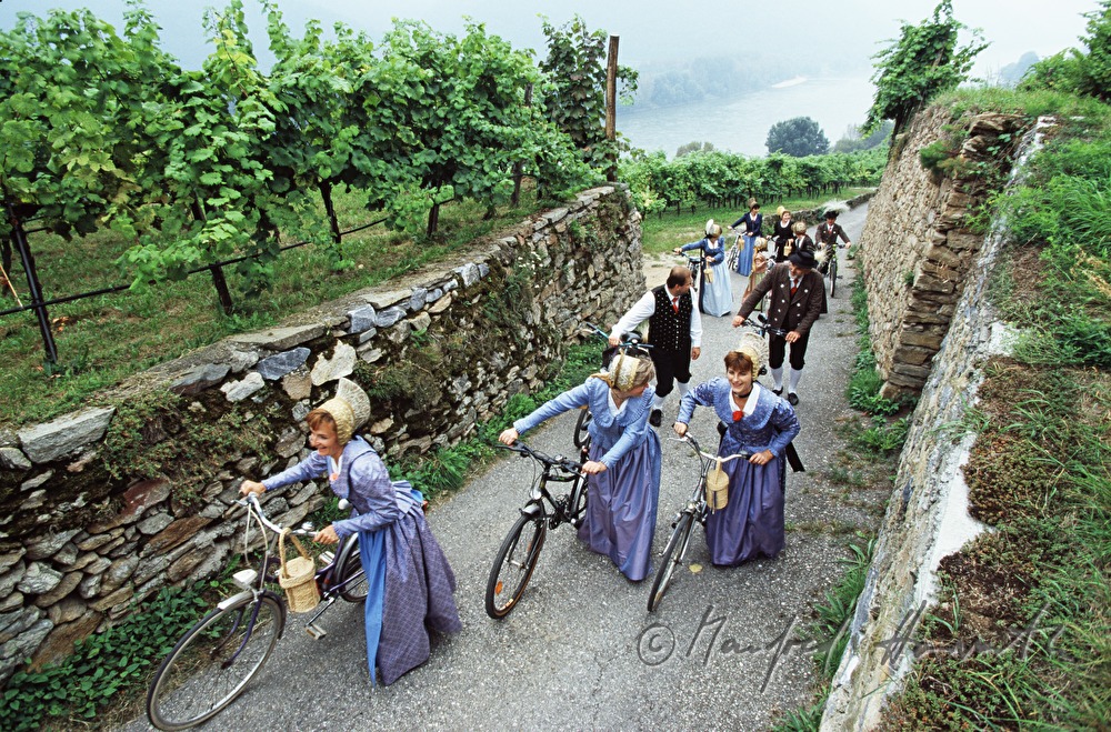 bicyclists in local costumes in the vineyard