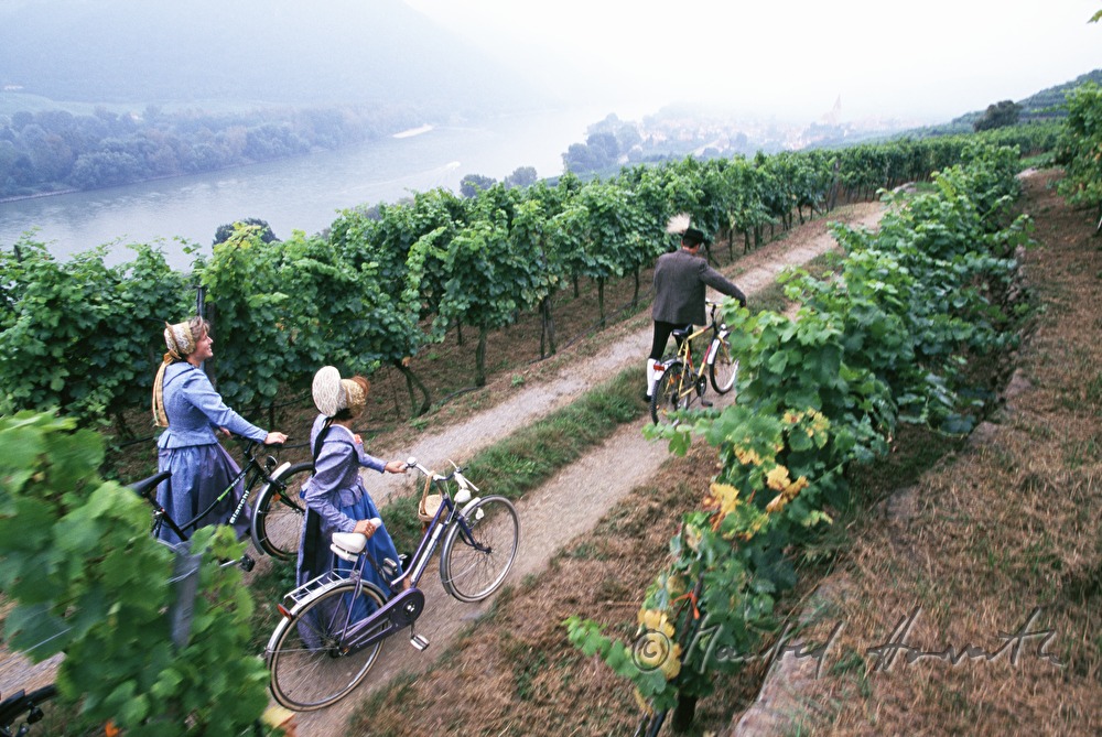 bicyclists in local costumes in the vineyard
