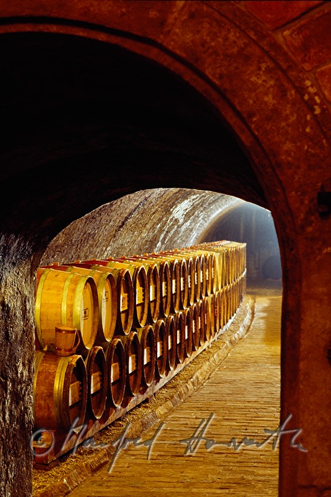 barrels in the wine cellar of Stiegelmar's