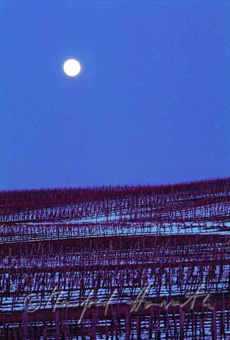 full moon over the vineyards near Jois