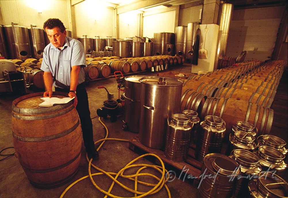 Alois Kracher in his wine cellar