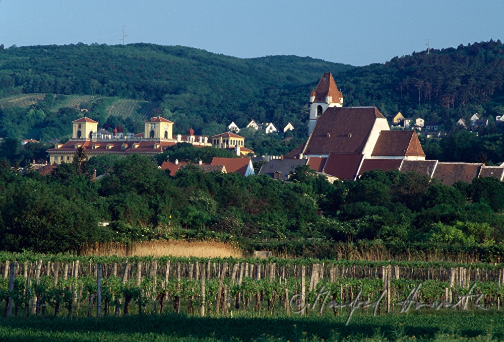 view from the South