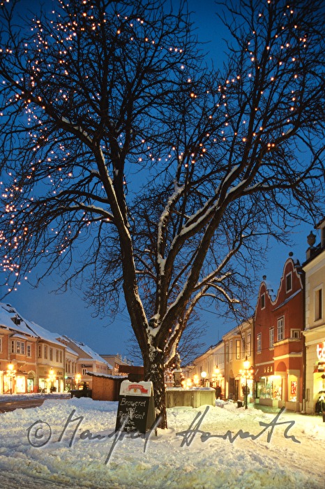 tree and row of houses