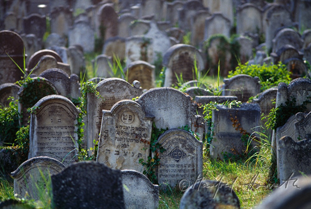 toppled gravestones at the jewish cemetery